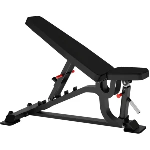 FITR-046 Insight Fitness DH029 Flat | Incline | Decline Bench