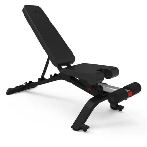 FITR-036 Bowflex 3.1s Stowable Adjustable Bench | NH100917