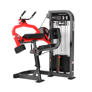 FITR HAM-10 TRICEPS EXTENSION